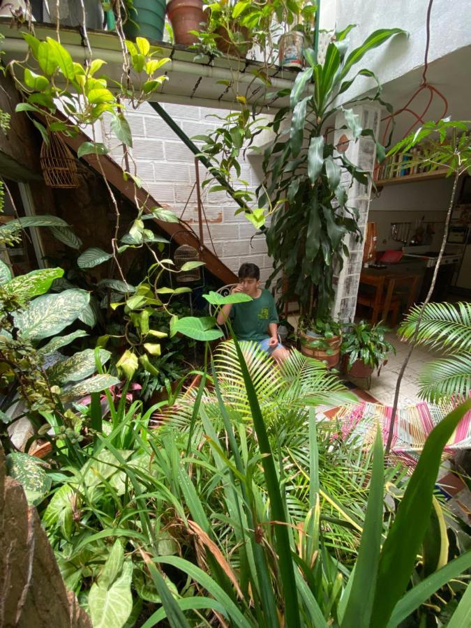 Hostal Casa Las Tias Медельин Экстерьер фото